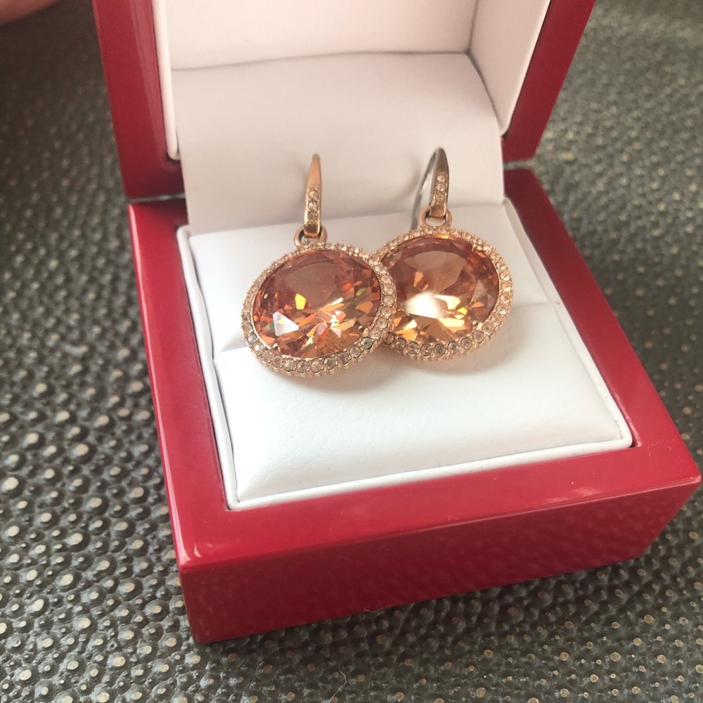 MIchael Kors Earrings
